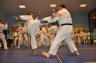 008 TELETHON 2009 Randori Adultes.JPG 